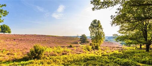 Landal Rabbit Hill