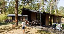Blockhütte Bornia Lodge in RCN Het Grote Bos
